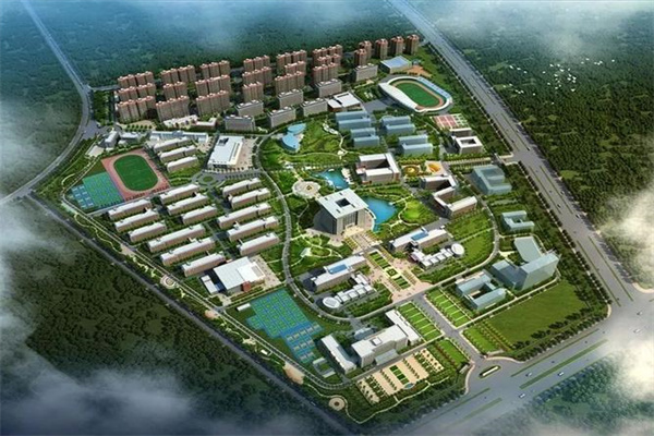 2025年5月5日全国主要批发市场龙眼葡萄价格行情