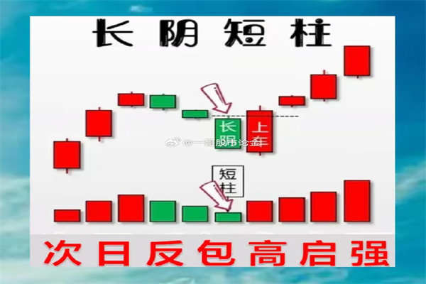 2025年5月5日北京朝阳区大洋路综合市场价格行情