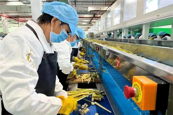 ATFX汇市：新西兰联储宣布降息50基点， NZDUSD先跌后涨