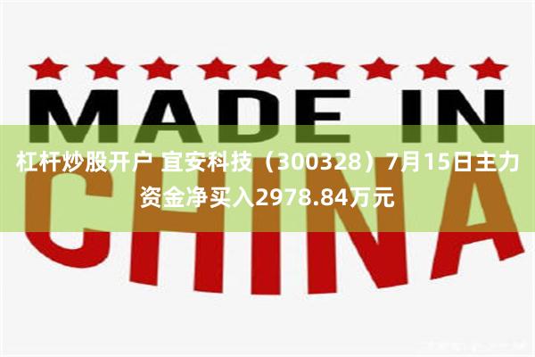 杠杆炒股开户 宜安科技（300328）7月15日主力资金净买入2978.84万元