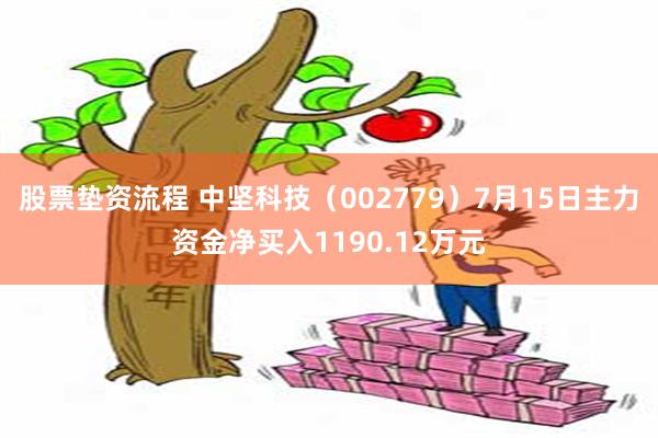 股票垫资流程 中坚科技（002779）7月15日主力资金净买入1190.12万元