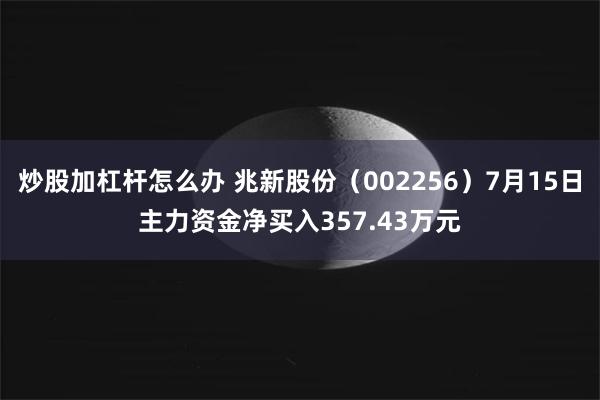 炒股加杠杆怎么办 兆新股份（002256）7月15日主力资金净买入357.43万元