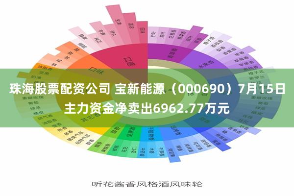 珠海股票配资公司 宝新能源（000690）7月15日主力资金净卖出6962.77万元