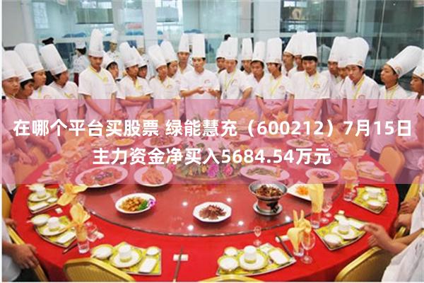 在哪个平台买股票 绿能慧充（600212）7月15日主力资金净买入5684.54万元