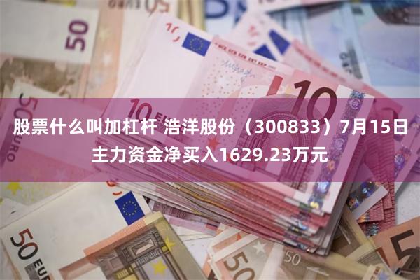 股票什么叫加杠杆 浩洋股份（300833）7月15日主力资金净买入1629.23万元