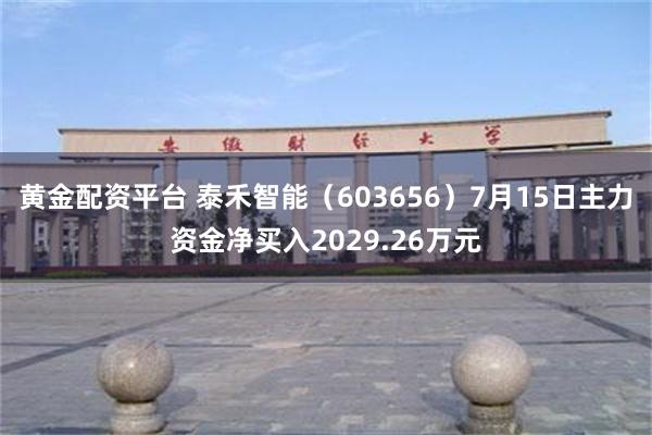 黄金配资平台 泰禾智能（603656）7月15日主力资金净买入2029.26万元