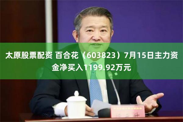 太原股票配资 百合花（603823）7月15日主力资金净买入1199.92万元