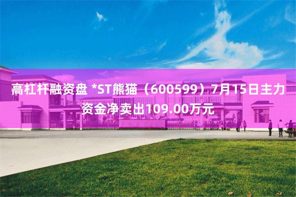 高杠杆融资盘 *ST熊猫（600599）7月15日主力资金净卖出109.00万元