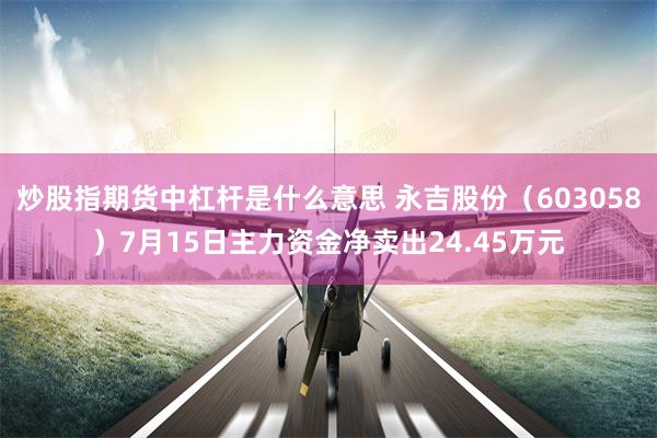 炒股指期货中杠杆是什么意思 永吉股份（603058）7月15日主力资金净卖出24.45万元