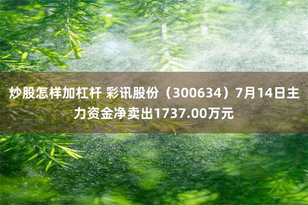 炒股怎样加杠杆 彩讯股份（300634）7月14日主力资金净卖出1737.00万元