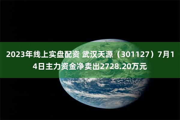 2023年线上实盘配资 武汉天源（301127）7月14日主力资金净卖出2728.20万元