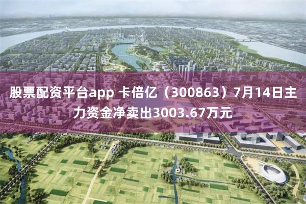 股票配资平台app 卡倍亿（300863）7月14日主力资金净卖出3003.67万元