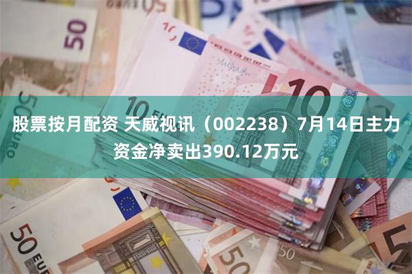 股票按月配资 天威视讯（002238）7月14日主力资金净卖出390.12万元