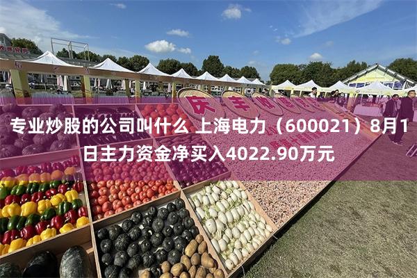 专业炒股的公司叫什么 上海电力（600021）8月1日主力资金净买入4022.90万元