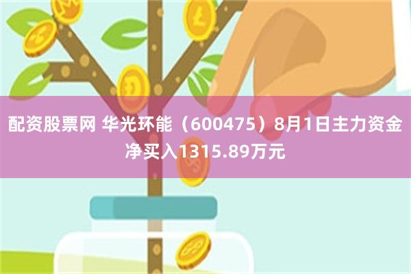 配资股票网 华光环能（600475）8月1日主力资金净买入1315.89万元