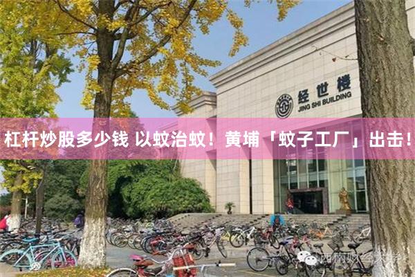 杠杆炒股多少钱 以蚊治蚊！黄埔「蚊子工厂」出击！