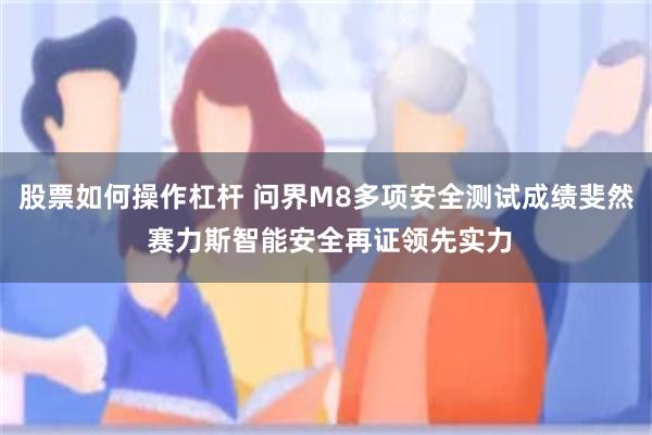 股票如何操作杠杆 问界M8多项安全测试成绩斐然 赛力斯智能安全再证领先实力