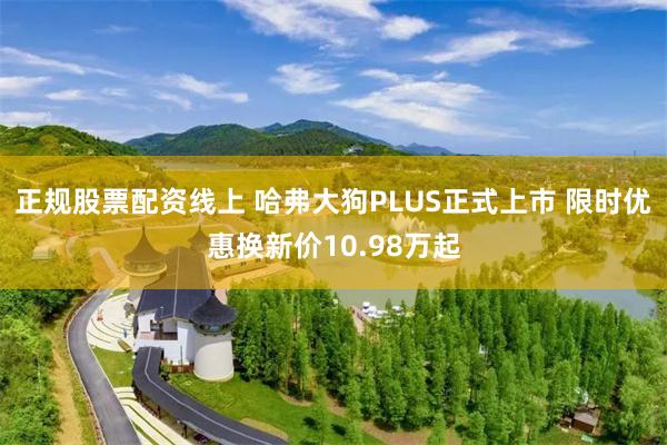 正规股票配资线上 哈弗大狗PLUS正式上市 限时优惠换新价10.98万起