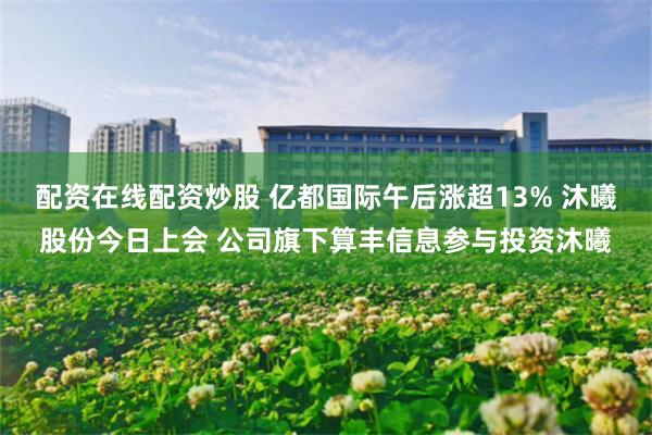 配资在线配资炒股 亿都国际午后涨超13% 沐曦股份今日上会 公司旗下算丰信息参与投资沐曦