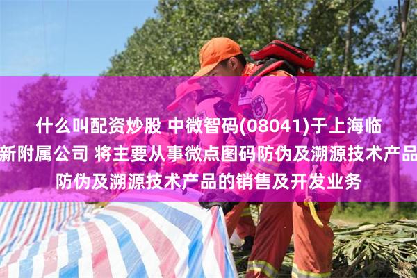 什么叫配资炒股 中微智码(08041)于上海临港新片区成立一间新附属公司 将主要从事微点图码防伪及溯源技术产品的销售及开发业务