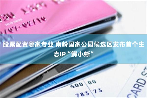 股票配资哪家专业 南岭国家公园候选区发布首个生态IP“鳄小蜥”