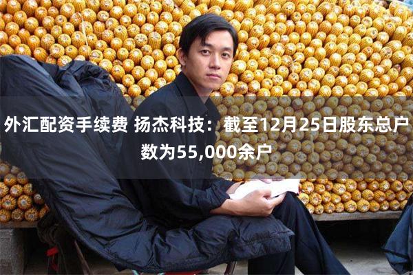 外汇配资手续费 扬杰科技：截至12月25日股东总户数为55,000余户