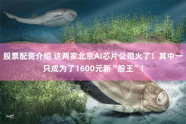 股票配资介绍 这两家北京AI芯片公司火了！其中一只成为了1600元新“股王”！