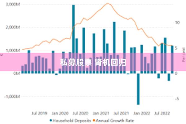 私募股票 肾机回归