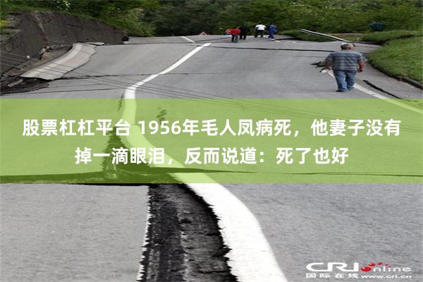 股票杠杠平台 1956年毛人凤病死，他妻子没有掉一滴眼泪，反而说道：死了也好