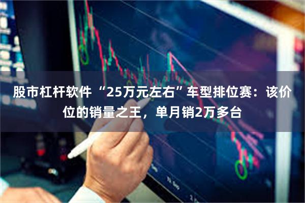 股市杠杆软件 “25万元左右”车型排位赛：该价位的销量之王，单月销2万多台