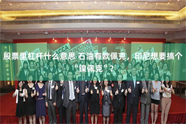 股票里杠杆什么意思 石油有欧佩克，印尼想要搞个“镍佩克”？