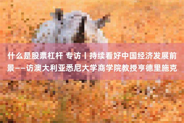 什么是股票杠杆 专访丨持续看好中国经济发展前景——访澳大利亚悉尼大学商学院教授亨德里施克