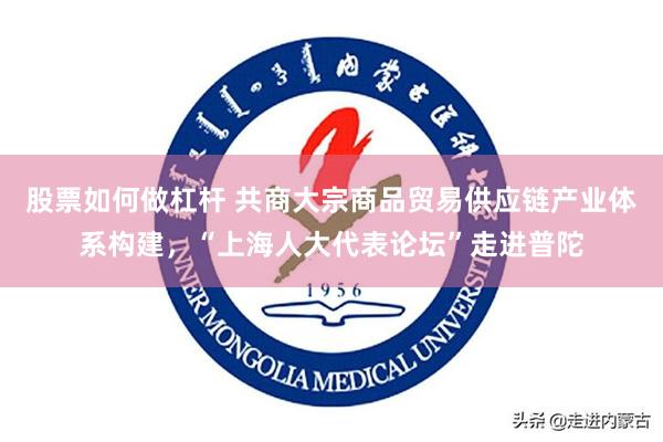 股票如何做杠杆 共商大宗商品贸易供应链产业体系构建,“上海人大代表论坛”走进普陀
