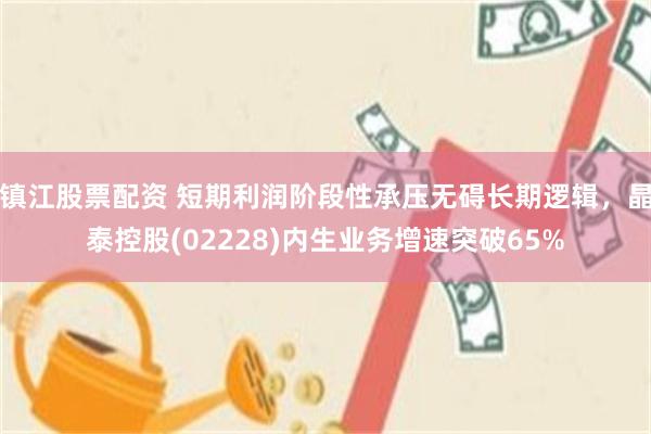 镇江股票配资 短期利润阶段性承压无碍长期逻辑,晶泰控股(02228)内生业务增速突破65%