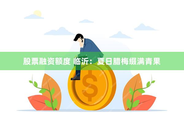 股票融资额度 临沂：夏日腊梅缀满青果