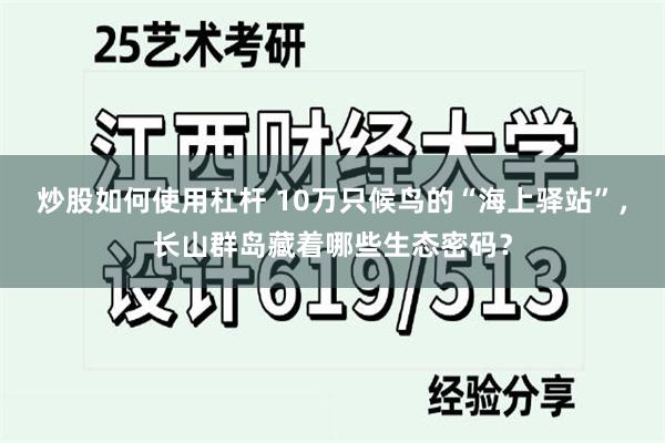 炒股如何使用杠杆 10万只候鸟的“海上驿站”，长山群岛藏着哪些生态密码？
