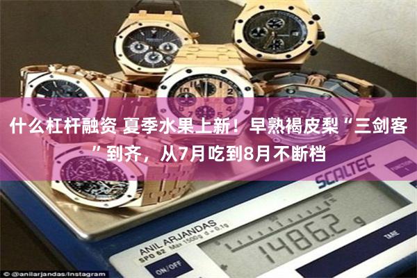什么杠杆融资 夏季水果上新！早熟褐皮梨“三剑客”到齐，从7月吃到8月不断档
