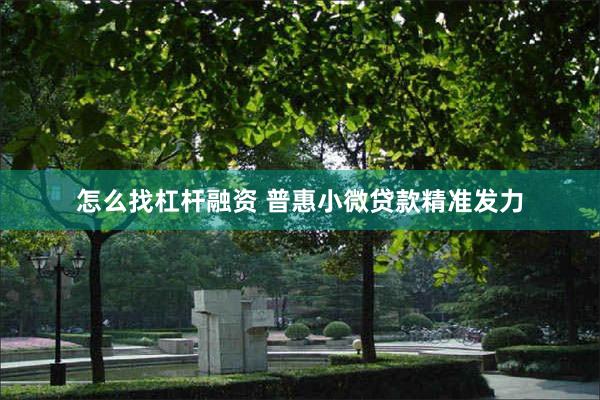 怎么找杠杆融资 普惠小微贷款精准发力