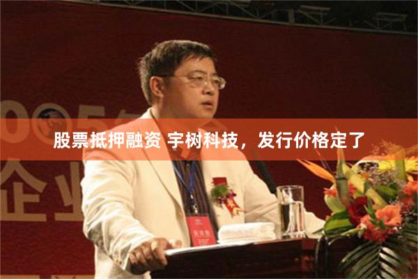 股票抵押融资 宇树科技，发行价格定了