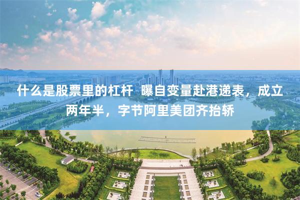 什么是股票里的杠杆  曝自变量赴港递表，成立两年半，字节阿里美团齐抬轿