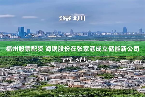 福州股票配资 海锅股份在张家港成立储能新公司