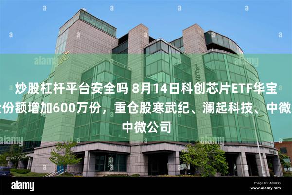 炒股杠杆平台安全吗 8月14日科创芯片ETF华宝基金份额增加600万份，重仓股寒武纪、澜起科技、中微公司