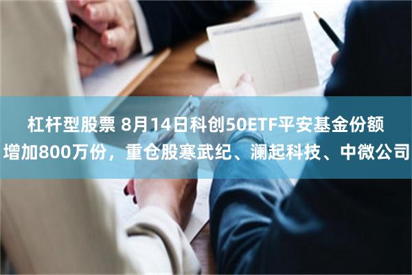 杠杆型股票 8月14日科创50ETF平安基金份额增加800万份，重仓股寒武纪、澜起科技、中微公司