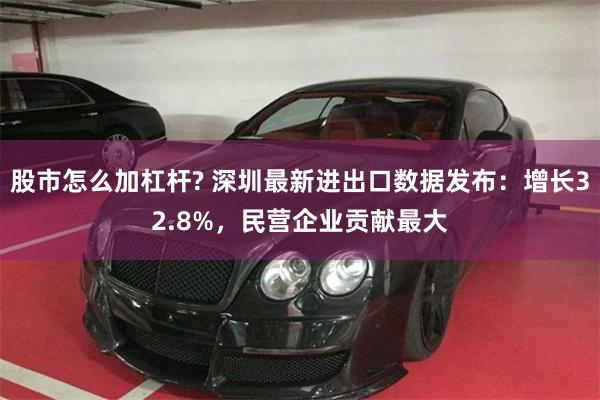 股市怎么加杠杆? 深圳最新进出口数据发布：增长32.8%，民营企业贡献最大