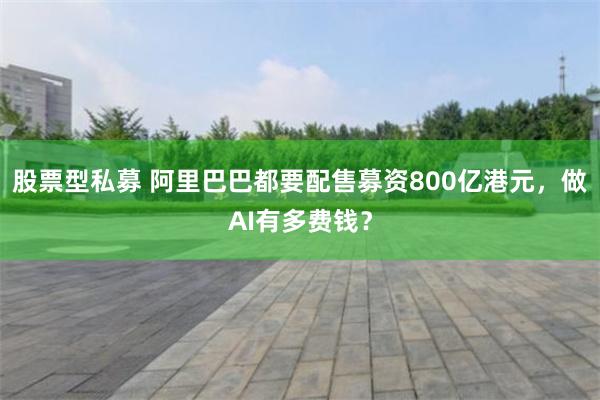 股票型私募 阿里巴巴都要配售募资800亿港元，做AI有多费钱？