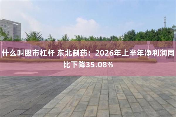 什么叫股市杠杆 东北制药：2026年上半年净利润同比下降35.08%